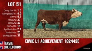 Lot #51 - L1ACHIEVEMENT182443E