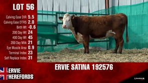 Lot #56 - SATINA 192576