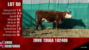 Lot #50 - TSUGA 182409