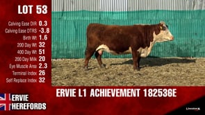 Lot #53 - L1ACHIEVEMENT182536E