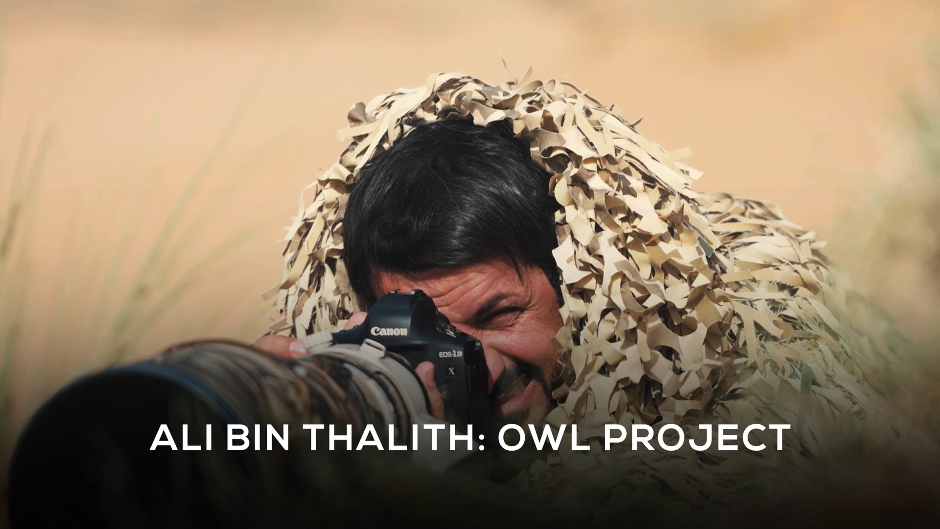 030221 Owl Project (Full Version) D11 (HQ)