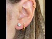 Diamond, Platinum Earrings 5838-1868