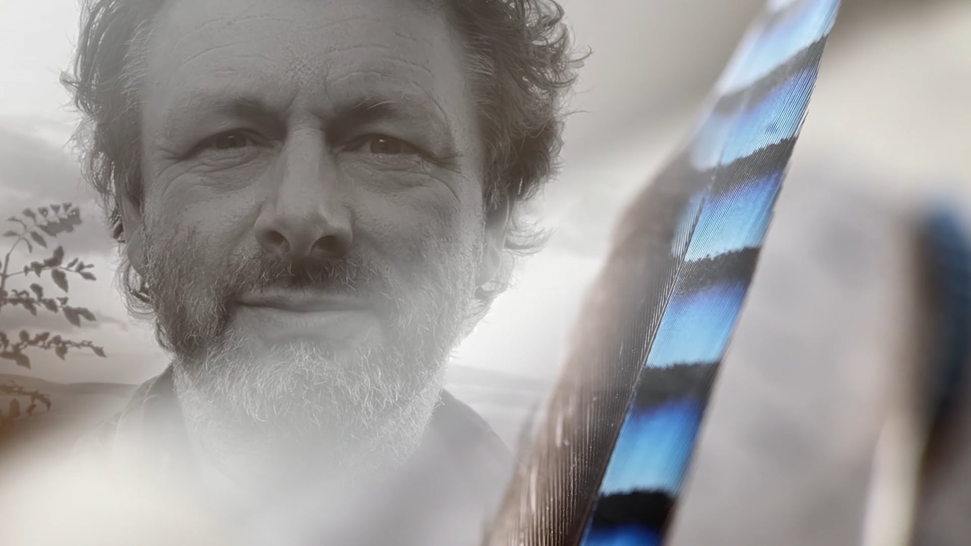 Feather, Leaf, Bark & Stone with Michael Sheen