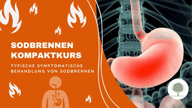 Typische symptomatische Behandlung von Sodbrennen (und warum das oft nicht sinnvoll ist) 