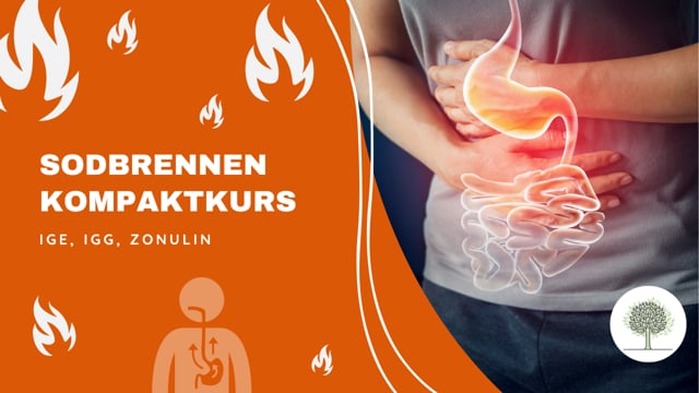 Sind IgE, Nahrungsmittel-IgG oder Zonulin schuld an Ihrem Reflux? 