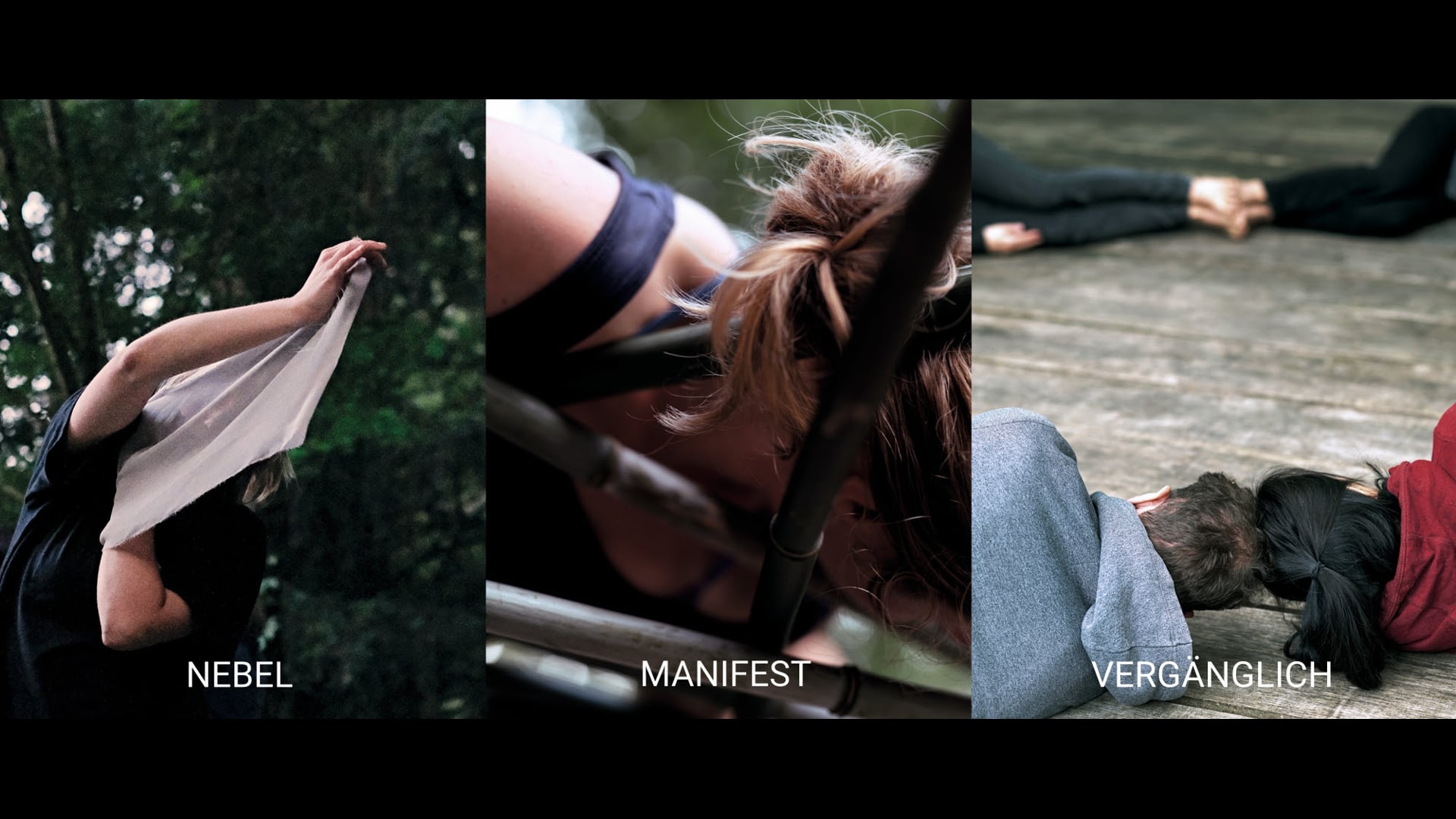 Nebel_Manifest_Vergänglich