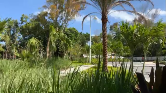 landscape design