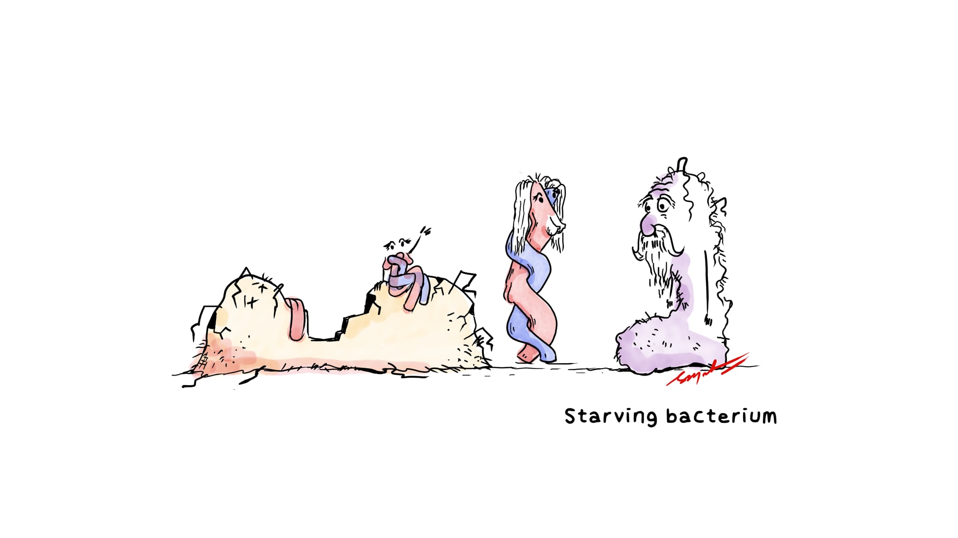 Bacterial Gene Recombination Via Transformation