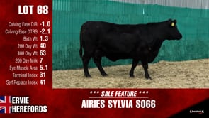 Lot #68 - AIRIES SYLVIA S066