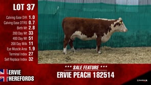 Lot #37 - PEACH 182514
