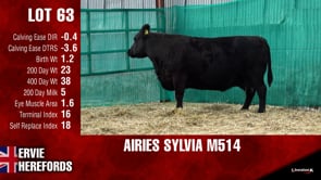 Lot #63 - AIRIES SYLVIA M514