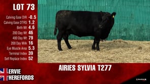 Lot #73 - AIRIES SYLVIA T277