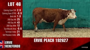 Lot #46 - PEACH 192627