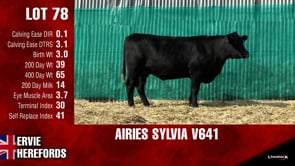 Lot #78 - AIRIES SYLVIA V641