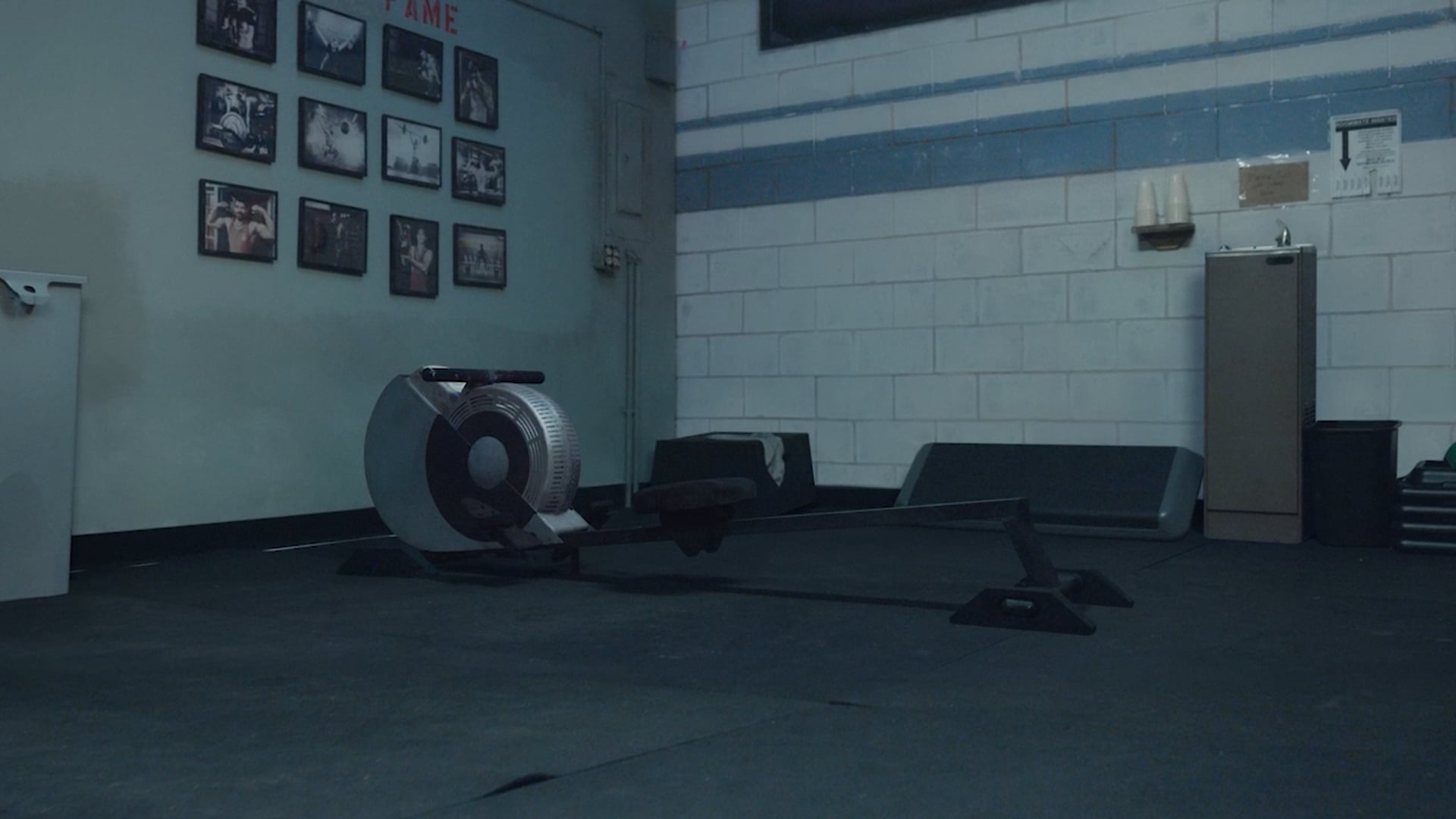 David Shafei - Peloton