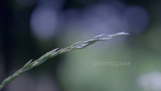 omonogawa 02