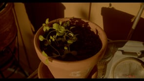Un bout de film 