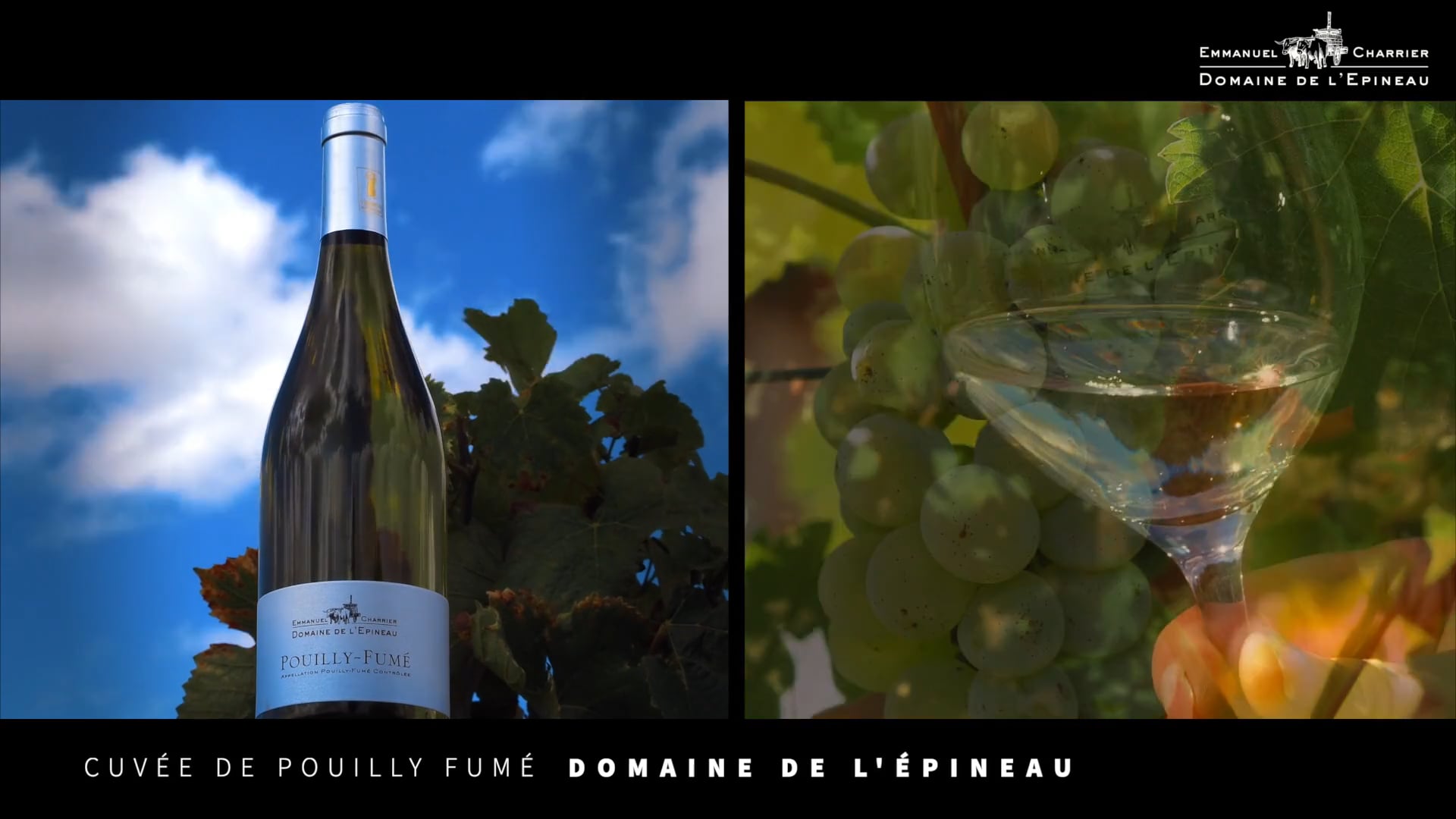 Pouilly Fumé - Domaine de l'Épineau