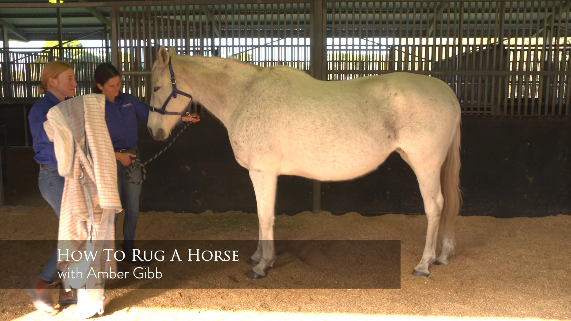 How to Rug a Horse on Vimeo