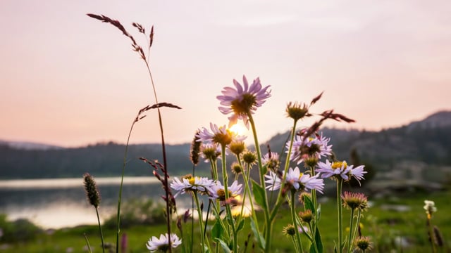 Stare con il respiro – Gestire l’ansia