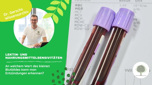 An welchem Wert des kleinen Blutbildes kann man Entzündungen erkennen?