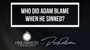 Who did Adam blame when he sinned?