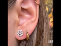 Diamond, 18ct Earrings 13139-8101