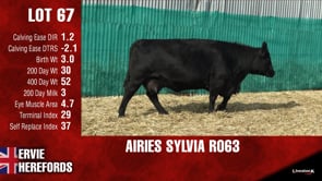 Lot #67 - AIRIES SYLVIA R063