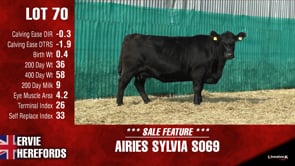 Lot #70 - AIRIES SYLVIA S069