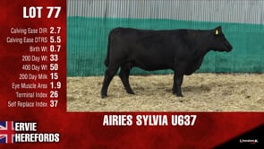 Lot #77 - AIRIES SYLVIA U637