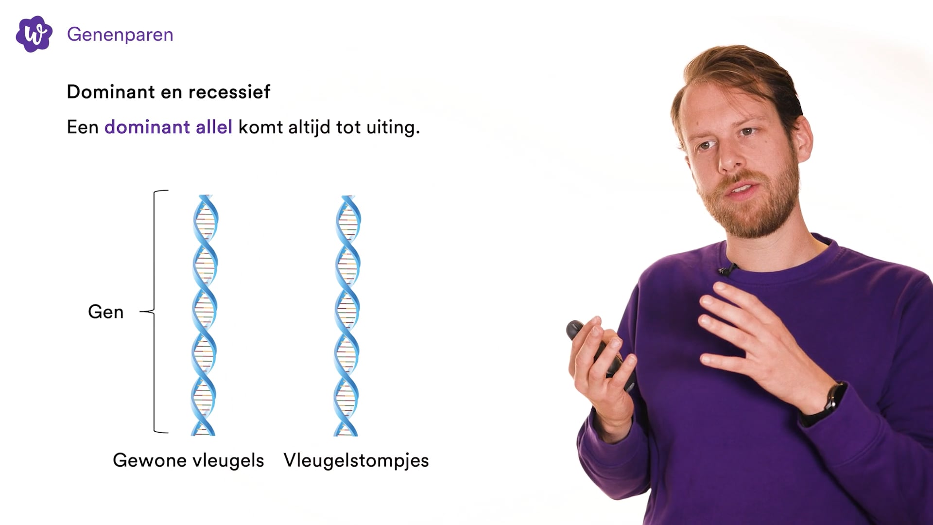 Genenparen oefenen | StudyGo