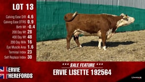 Lot #13 - ERVIE LISETTE 192564
