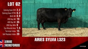 Lot #62 - AIRIES SYLVIA L323