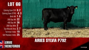 Lot #66 - AIRIES SYLVIA P792