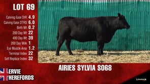 Lot #69 - AIRIES SYLVIA S068