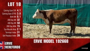 Lot #18 - ERVIE MODEL 192668