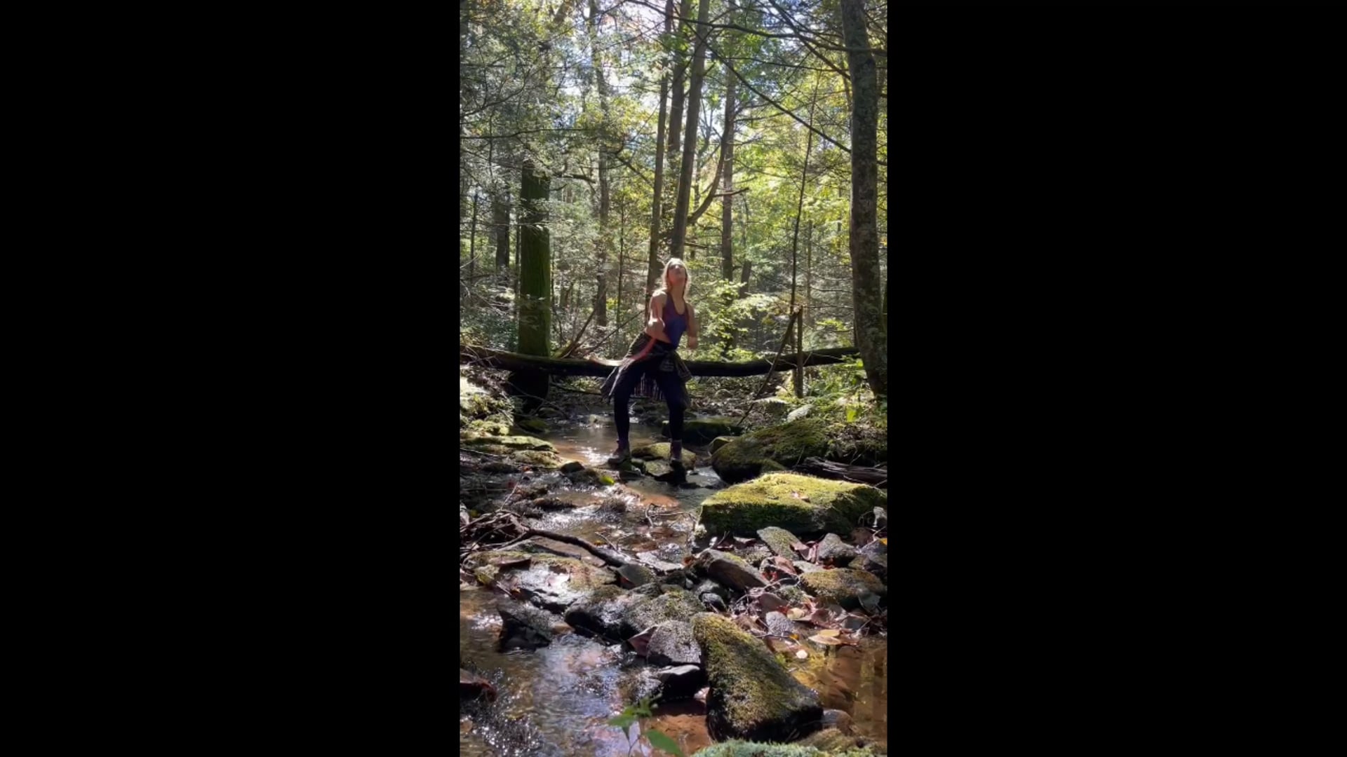 Promotional video thumbnail 3 for Earthwerxs