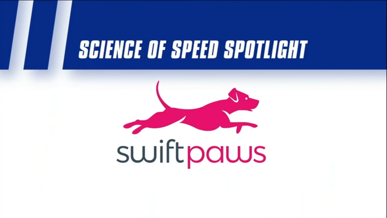 Swiftpaws offers 'the best game of chase' for active dogs, but it's gonna  cost you