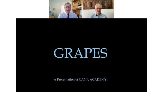 GRAPES? Helping Our Students Get Their Minds Around Ancient Civilization