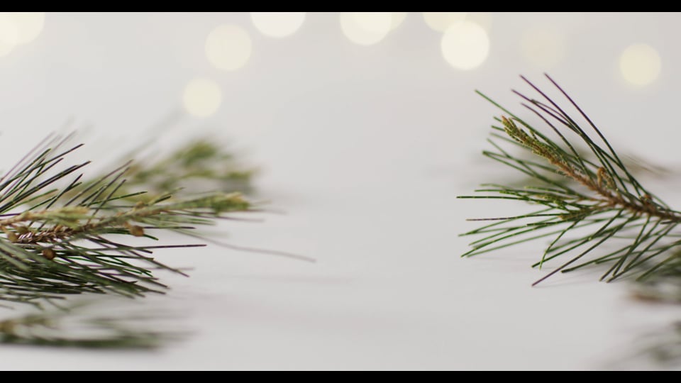 Video of christmas decoration with pine branches and fairy lights on