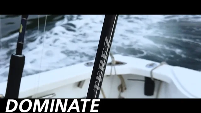 Shimano Terez Conventional Saltwater Rods — Discount Tackle