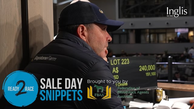 Sale Day Snippet: Lot 223 - 2022 Ready2Race Sale