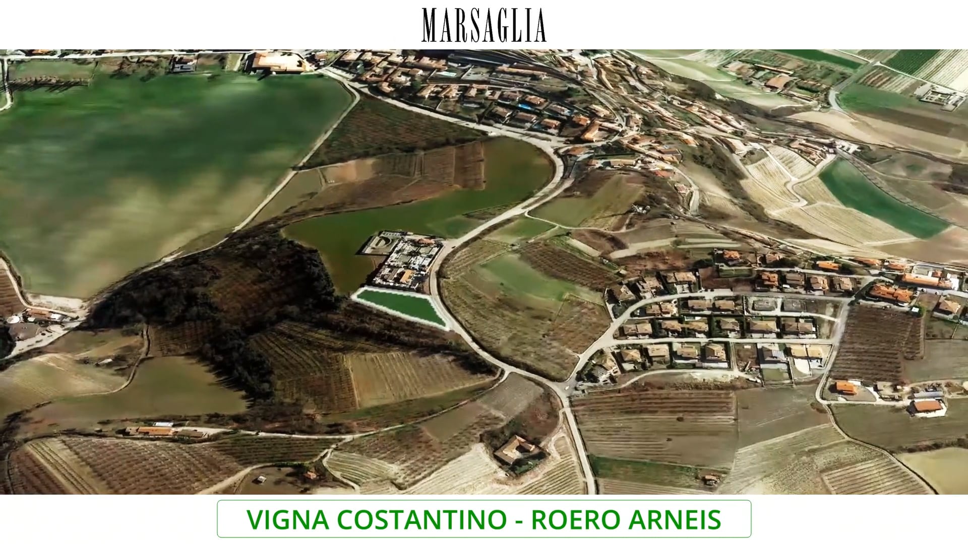 Vigna Costantino | Arneis