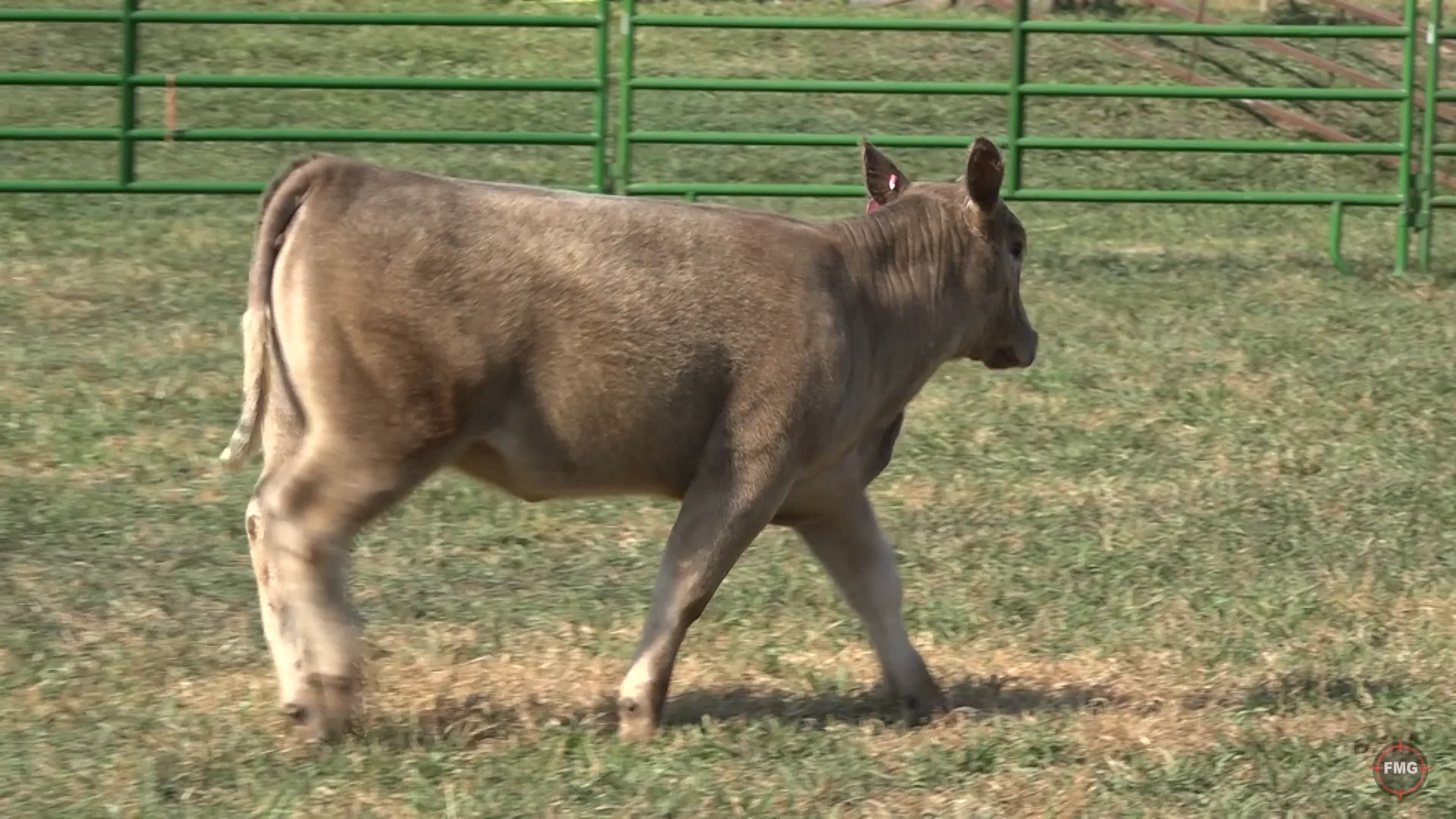 Sullivan Ranches Oct 2022 Tag 217K on Vimeo