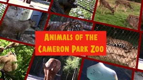 Images of Waco: Animals of the Cameron Park Zoo