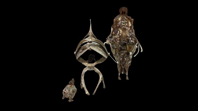 Mobilité | Deuxième partie – Laurent Pilon