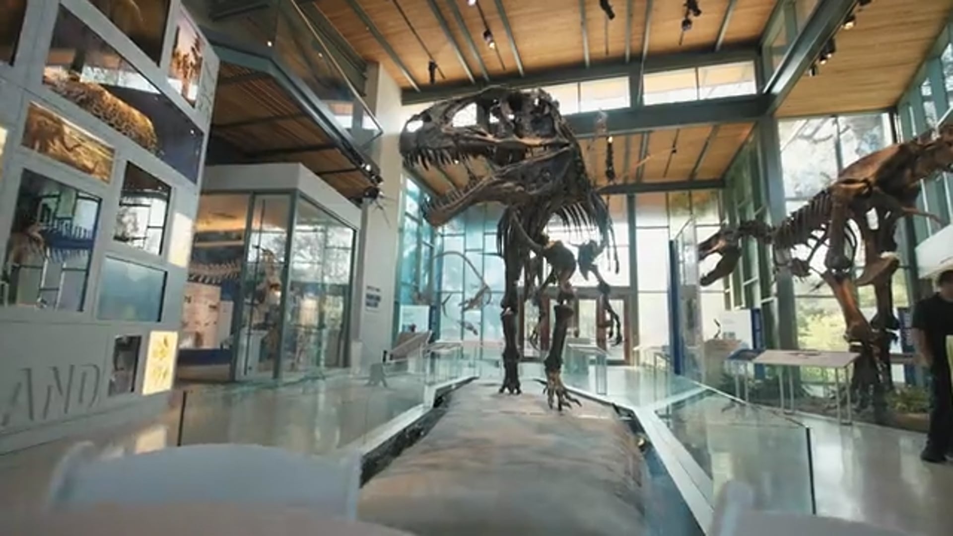 Witte Museum - Texas Heritage Awards