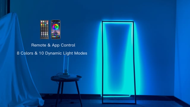 Frame Floor Lamp video thumbnail