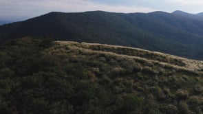 鉄砲木ノ頭のすすき