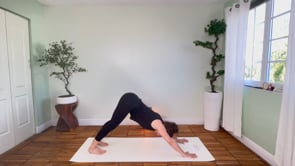 Related Embedded Video Item Thumbnail